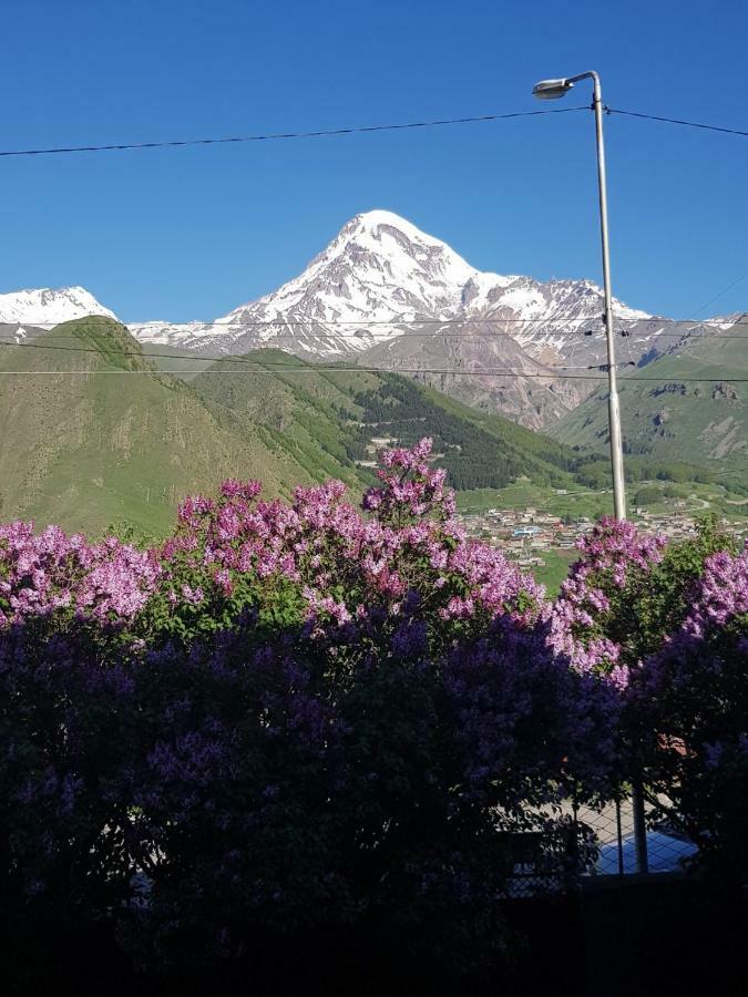 Hilltop Kazbegi Exterior photo